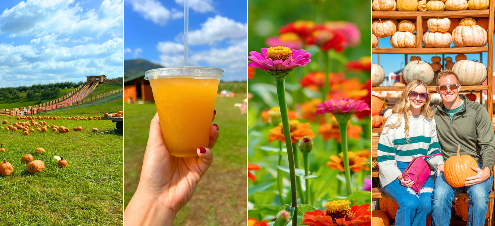 9/26 - Layman Family Farms Fall Festival & Pumpkin Patch | Blue Ridge, VA