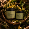 Honeysuckle Skin Renewal Duo